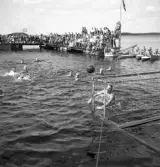 Evedal, 1943. 
Vattenpolomatch. I bakgrunden syns bl a en brygga med mycket publik.