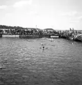 Evedal, 1943. 
Vattenpolomatch.