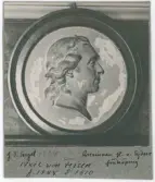 Porträtt på Hans Axel von Fersen.