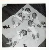 Fotografi på flera små bebisar som liggerpå golvet på en filt i Lilla Källbäck