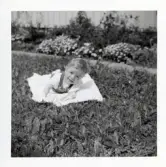 Fotografi på en liten telning som ligger på magen på en filt i gräset vid Lilla Källbäck.