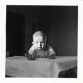 Fotografi på Björn vid Lilla Källbäck.