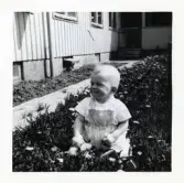 Fotografi på Mikael, 10 månader som sitter i gräset bland blommor i Lilla Källbäck.