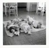 Fotografi på ett gäng med bebisar liggandes på en filt i Lilla Källbäck.