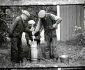 Gubbar kärnar smör