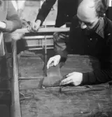 Bilden tagen i samband med dendrokronologisk provtagning av
Björkebåten. Losstagande av provbit.
Lars Lövstrand, Uppsala.