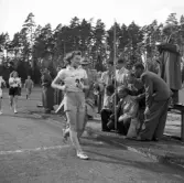 SM i gång på Värendsvallen, 1943.
Målgång för May Bengtsson i gångtävling för kvinnor, 5000 meter.