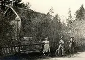 Hästnäs, Lisö
