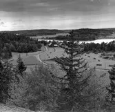 Utsikt över Vidby från Ängsberget. På åkern står hässjor av hö. I bakgrunden syns Älvvikssjön. 