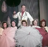 Åke Harnesk i nyårsrevy