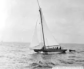 Kappseglingarna, OS 1912