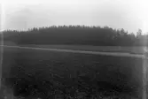 Åker (?) med landsväg. I bakgrunden syns granskog.