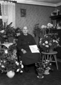 Foto av en kvinna i klänning som sitter i ett vardagsrum, omgiven av blommor. 
Trol. fru Anna Kristina Kristoffersson, f. Karlsson (12 december 1861-1947), Villansdal, Hov, Växjö.
Källa: Sveriges Dödbok 1901-2009.