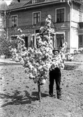 Joakim Leü vid blommande träd
