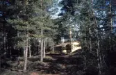 Sommarstuga i Karlslundsskogen, 1993
