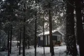 Sommarstuga bland träd i Karlslundskogen, 1993