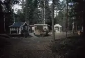 Sommarstuga med växthus i Karlslundsskogen, 1993