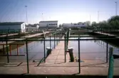 Bassänger vid avloppsreningsverket, 1994