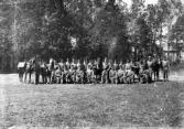 Pluton med hästar, I11 i Växjö, ca. 1935.