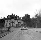 Irisborg