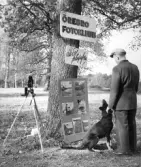 Fotodag i Hästhagen