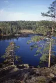 Utsikt över Falkasjön i Kilsbergen, 1994