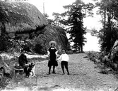 Strandvägen, Jökeldalen