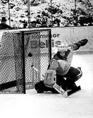 Hockyemålvakt på Estörinken