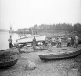Båtupptagning vid lokstallarna