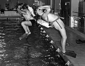 Sportdykare i simhallen