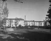 Baronbackarna, 1960-tal