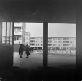 Kvinnor på gård i Markbacken, 1970-tal