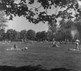 Fritidsaktiviteter i Stadsparken, 1960-tal