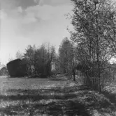 Älgastenen, 1960-tal