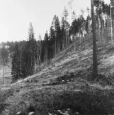 Djupa hålet på Lidetorpsmon, 1960-tal