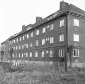 Bostadshus i kvarteret Sågen, 1919