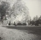 Hästhagen, 1970-tal