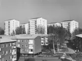 Bostadshus i Norrby, 1970-tal