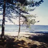 Strand på Vinön, 1970-tal