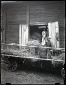 Karl Nilsson står i en hökärra och lassar hö in på en lada. Han bär grova kläder, mössa och stövlar. I öppningen till ladan står Judit Karlsson. Hon håller i en högaffel och bär en ljus klänning och huckle. Ladan är konstruerad i listverk.