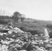 Vid soptippen i östra Fjugesta, 1960-tal