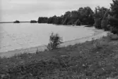 Grundholmarna i Hjälmaren, 1970-tal