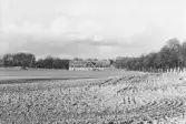 Ladugård och allé vid Hjälmarsberg, 1970-tal