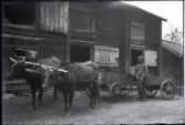Karl Nilsson står utanför Kettys loge med ett oxekipage med vagn. Han håller i en piska samt tömmar och bär en hatt, en grov skjorta, slitna och lappade byxor samt grova skor. I byggnaden är alla luckor öppna.