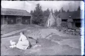 Vy över gårdsplan vid slakt av höns. I förgrunden sitter Tilia Andersson på huk med ryggen mot kameran vid en bur av kycklingnät. Hon bär en ljus randig blus, ljus kjol och har håret i en knut. I buren syns en höna och kycklingar. Till höger står Eugén Stensiö i mörk hatt, samt en yngre pojke i ljus fläckig hatt. Över kläderna har de dragit en säck med hål för armar och huvud. Säckarna har mörka fläckar. Eugén håller en rörpinne i handen över en zinkhink som sannolikt innehåller slamfärg. Även pojken håller rörpinne. Framför dem står en tunna sannolikt med rödfärg. Lock av enkel planka. Bakom en hög med stenar skymtar ytterligare hinkar och en kittel med en plåt på, kanske för färgkokingen. Bakom Eugén syns en konformad stapel av resta störar och brädor samt en hög med grenved och en lada med spåntak. Till vänster syns ytterligare en lada med spåntak. En väg löper över gårdsplanen mellan byggnaderna, där också en gärdesgård syns. Bortom den syns ett träd som bär möjliga spår av lövtäkt.