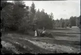 Höbärgning på Stensjö by. Två vagnar dragna av hästar står i en äng. Sittandes i den främre vagnen syns Eugén Stensiö, och bredvid står Aina Stensiö som håller i en räfsa. Eugén är klädd i mörk kavaj och bär en mössa, Aina bär en vit klänning. Vid den bortre vagnen står Martin Karlsson, klädd i ljus skjorta och en mörkare jacka samt hatt. I vagnen sitter en av döttrarna i familjen Karlsson, troligen Judit, klädd i ljus klänning och huvudduk. 
Vagnarna är delvis fyllda med hö. Till höger om den främre vagnen syns ett lass med hö, vilket hästen betar av. Till höger om ängen syns ett sädesfält och hamlade träd. På vänster sida löper en trädgärdesgård och innanför den syns ett tätt trädbestånd. Bakom vagnarna syns en hög gran som bär möjliga spår av hävd.