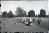 Familjen Karlsson skördar råg på Stensjö by. Längst fram till höger syns Martin Karlsson och bakom honom Karl Nilsson i färd med att slå rågen, vilken når upp till deras axlar. Båda är klädda i grova kläder och hatt med band. I händerna håller de varsin lie med framåtriktade knaggar. Orvet Martin har i händerna är smalare mellan och efter knaggarna. 
Till vänster om dem binder kvinnorna i familjen den slagna rågen till nekar. De är klädda i ljusa klänningar, mörka strumpor och förkläden med vita huvuddukar. Längst bort syns Hilma Nilsson som håller i en lång stör samt handtaget till ett redskap. På marken runt dem ligger ett flertal nekar. I bakgrunden syns hamlade träd.