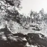 Sveafallen i Degerfors, 1970-tal