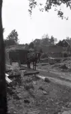 En man kör en kärra fylld med hö dragen av en häst. Han bär skjorta med hängslen och hatt. I handen håller han en piska. På båda sidor av vägen syns stockar och plankor ligga. Bakom vägen reser sig en bergknalle bortom.