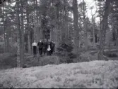 Fyra pojkar och en flicka i hällmarksskog bevuxen med tall. Från höger är Erik Karlsson, Ingrid Erlandsson och Eugén Stensiö. Längst till vänster är Bengt Stensiö.